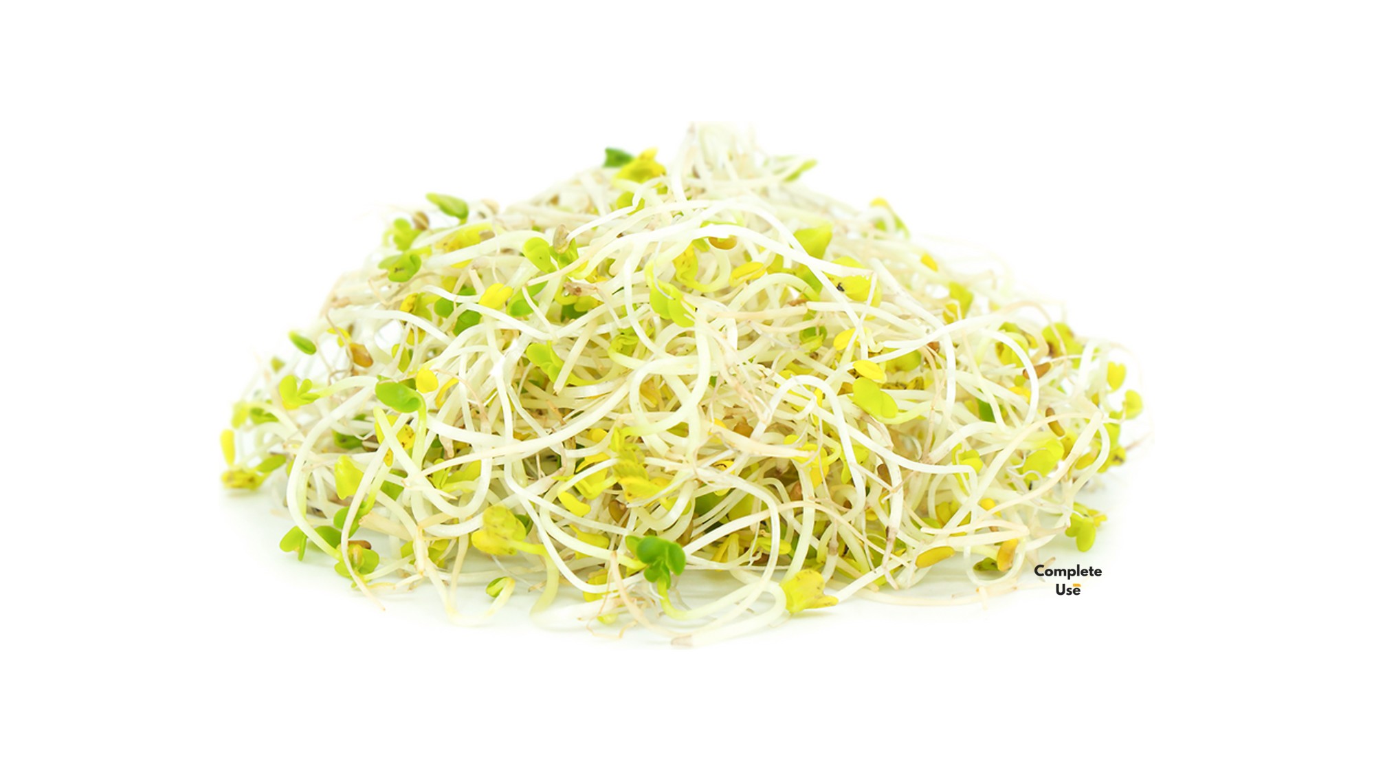 Broccoli Sprouts FAQ